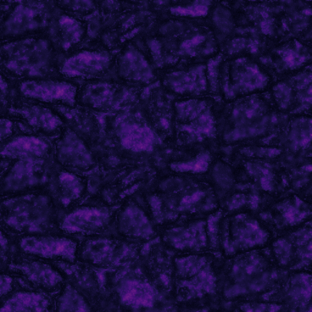 rocks otex ssimulacra2