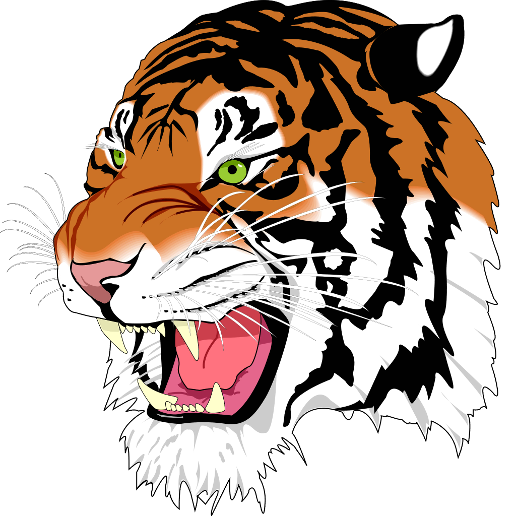 Tiger BC7